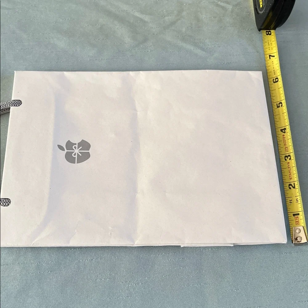 Genuine Small Apple White Store Paper Bag with Rope Gray Handles